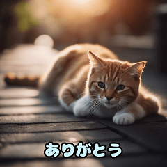 Cute Kitty Capers3