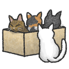 Cat and Cardboard Sticker