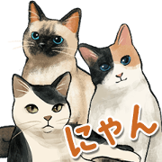 Lifelike Meows - A Sticker for Each Day