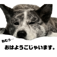 ERICHANMAN_20240223220014