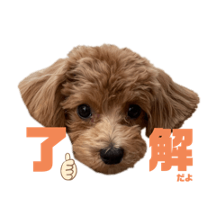 Kitamu_20240223225217