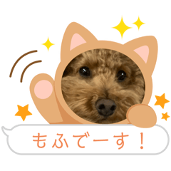 Konatsu_20240224091035
