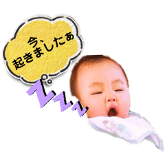 Kota mama_20240223231946