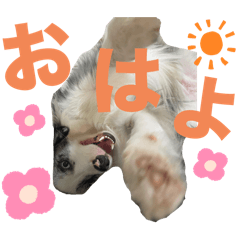 nao_20240224000527