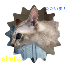 sylph&simba's stamp Special