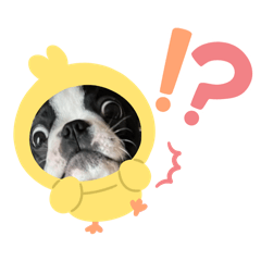 SAKURA_20240224091717