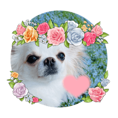 SAKURA_20240224115045