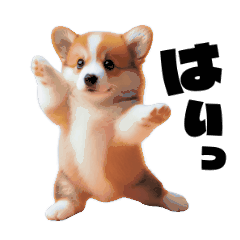 コーギーの可愛いアニメーションスタンプ