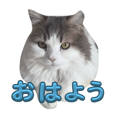 sakura_20240224150653