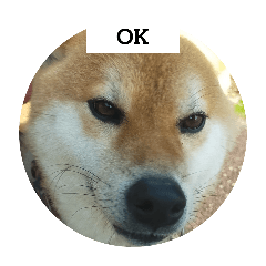 sakura_20240224162143