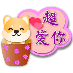 Cute Shiba Inu--Practical Speech balloon