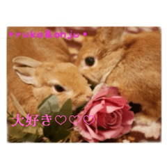 ayapico_20240224193023