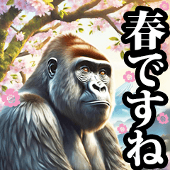gorilla spring