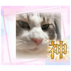 sayuri_20240225132451