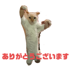 御れおの敬語すたんぷ