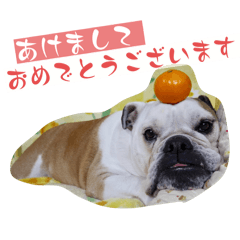 gakincho_20240225114629