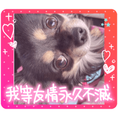 sayuri_20240225134036