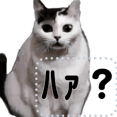 ⚫AI猫ミーム 24匹セット【セリフ変更可能】