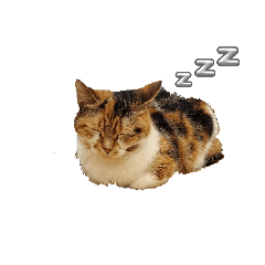 moo_20240224220652