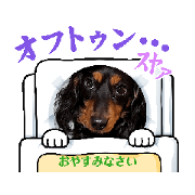 hokuto_20240225220046