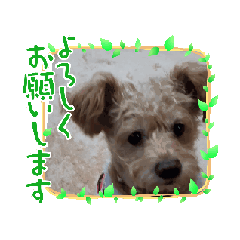 tomo_20240225232257