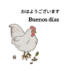 Birds who like Argentine tango