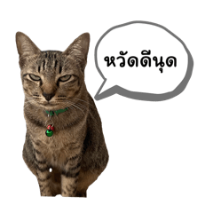 Eyevy_20240226003930
