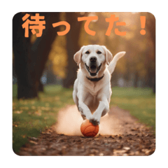 Taki_20240225135552
