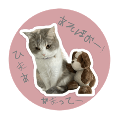 KANA_20240225190332