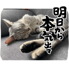 suzu_20240225163259
