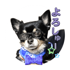 kichi_20240225210554