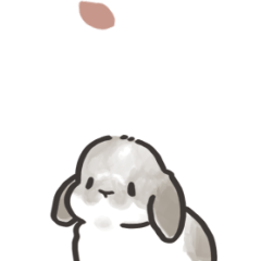 Rabbit's animation sticker2