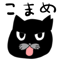 Black cat komame chan