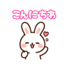 Komugi-chan the fluffy rabbit