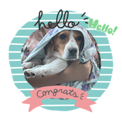 Milkshake and Blueberry_20240226160159