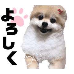 yuka_20240226172800