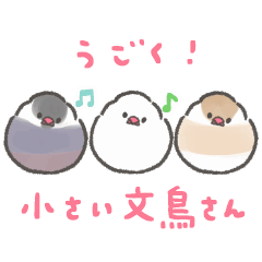moving little Java sparrow