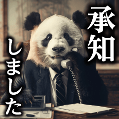salary man panda