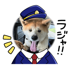 sayuri_20240226202948