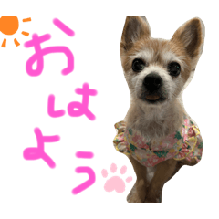 nao_20240226211141