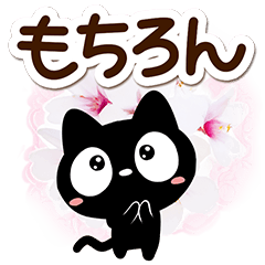 Very cute black cat130