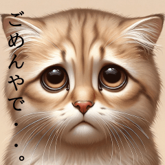Expressive Cat Stickers1