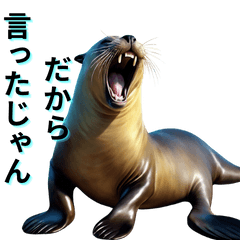 Greeting with a sea lion