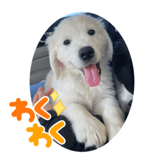 Keiko Katagiri_20240226234746