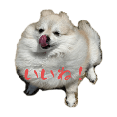 KANA_20240227072109