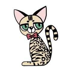 Crazy Mix Japan_20240225143948