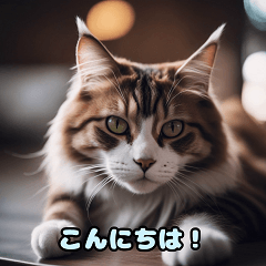 Lovely Cat Paws