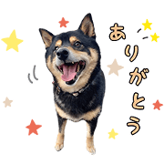 saku sticker!