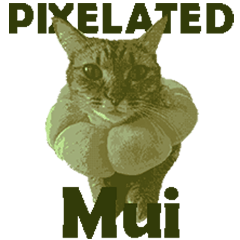 Pixelated Mui