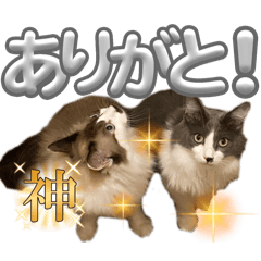 soo_20240227162624
